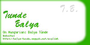 tunde balya business card